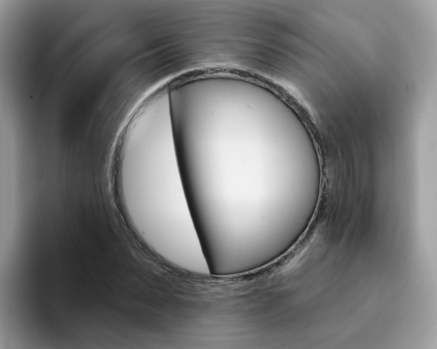 X0000094940879200711291019