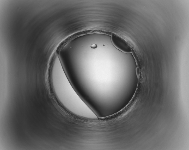 X0000094940880200711291019