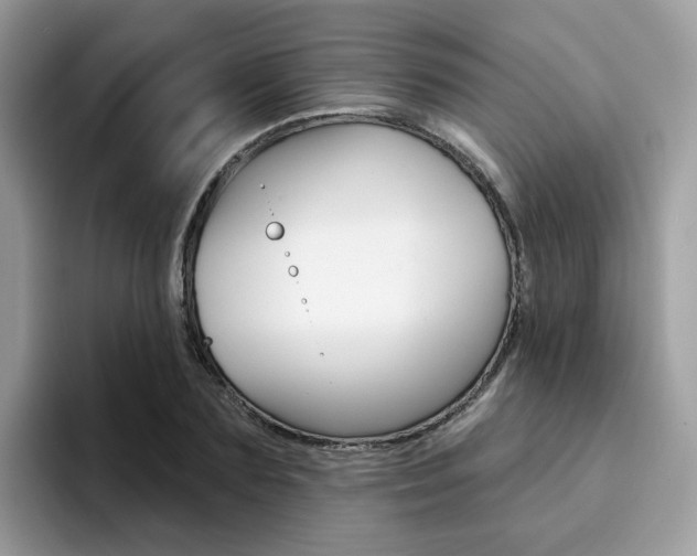 X0000094940883200711291019
