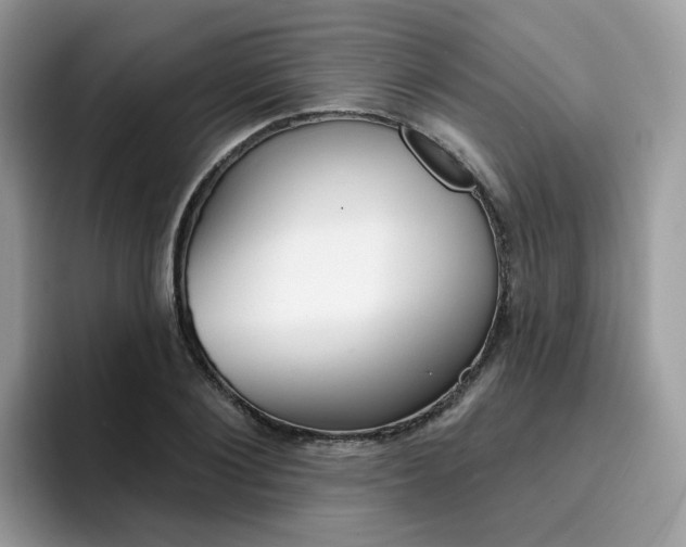 X0000094940884200711291019