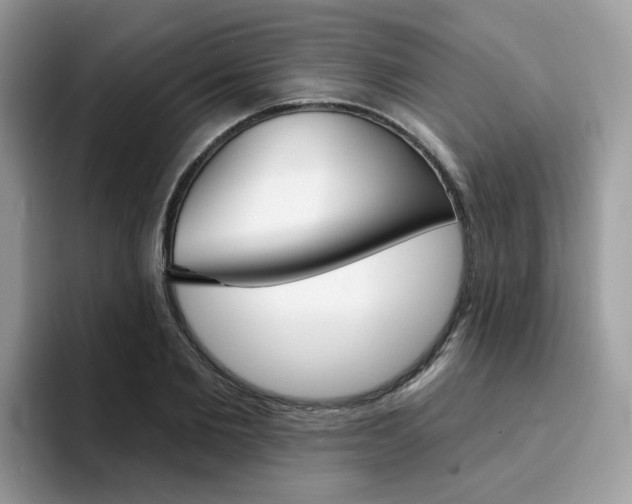 X0000094940885200711291019