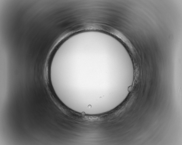 X0000094940886200711291019