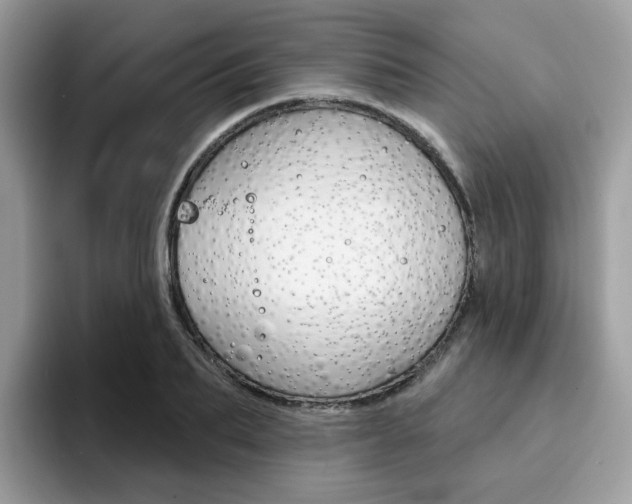 X0000094940887200711291019