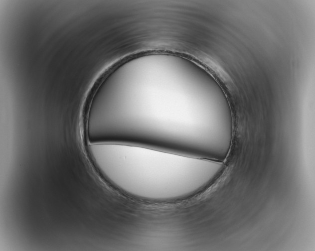 X0000094940888200711291019