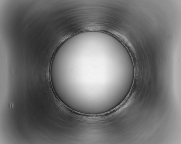 X0000094940889200711291019