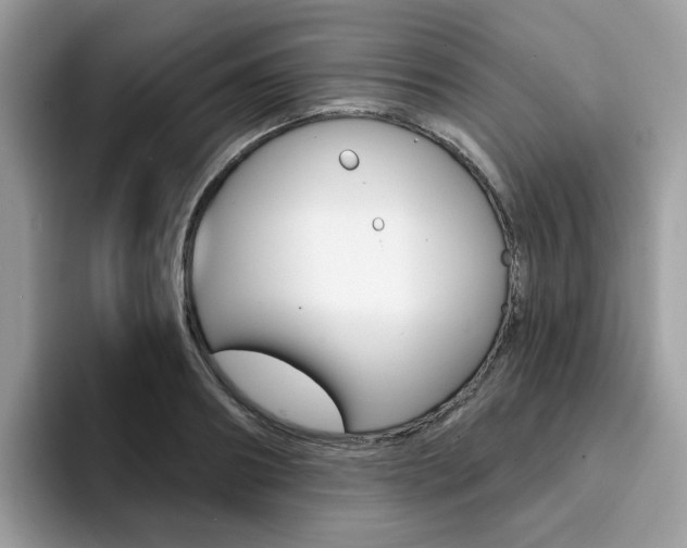 X0000094940890200711291019