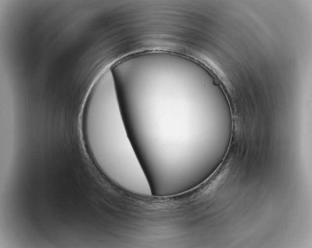 X0000094940891200711291019