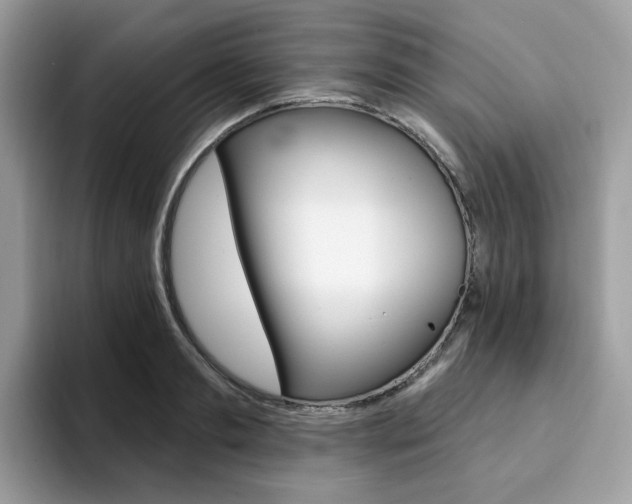 X0000094940893200711291019
