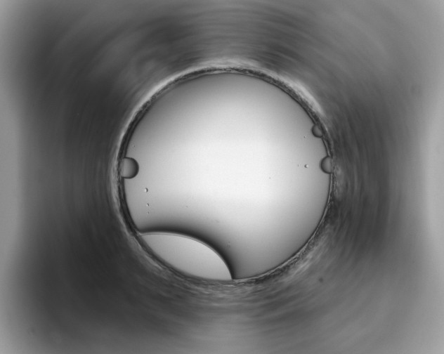 X0000094940895200711291019
