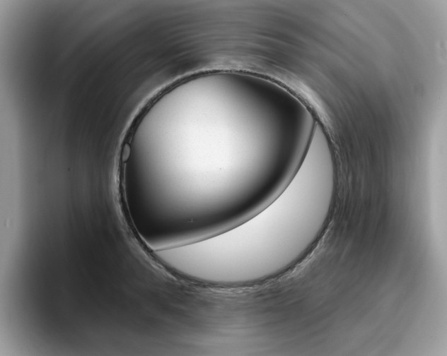 X0000094940896200711291019
