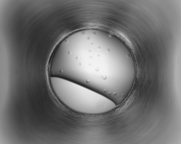 X0000094940899200711291019