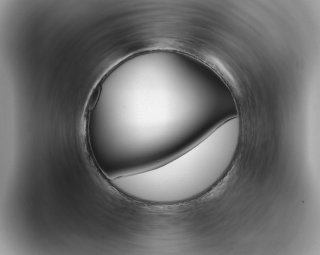 X0000094940900200711291019