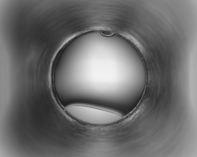 X0000094940902200711291019