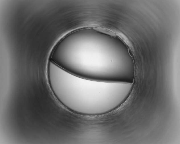 X0000094940904200711291019