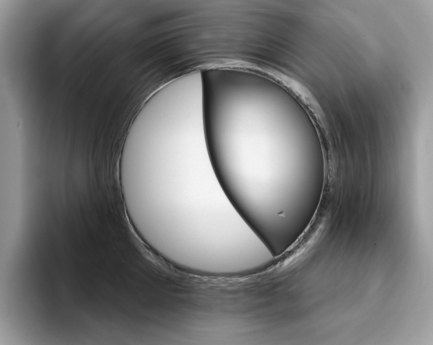 X0000094940905200711291019