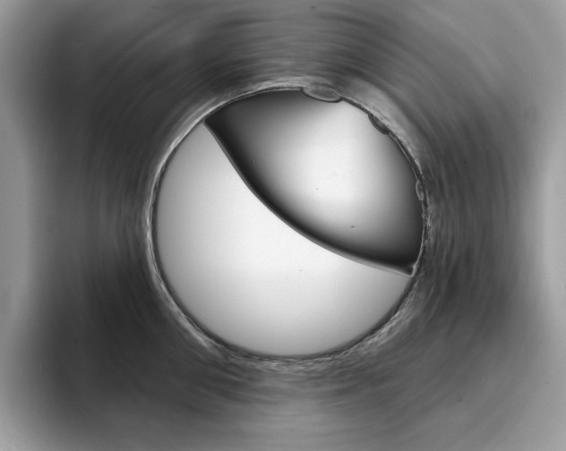 X0000094940906200711291019