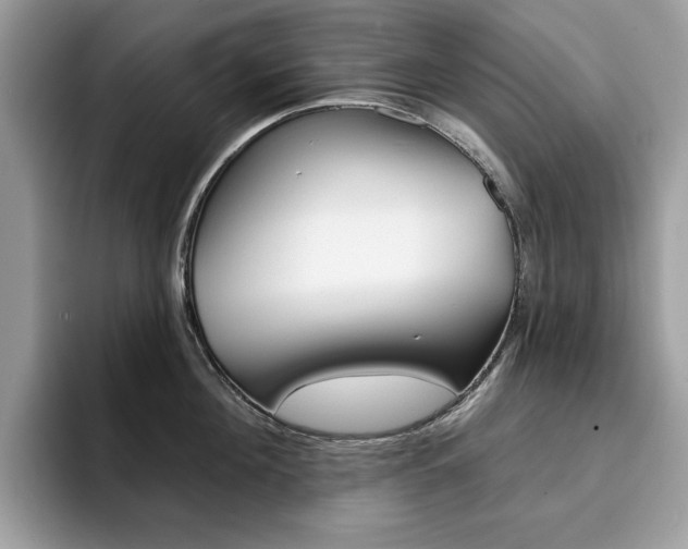 X0000094940908200711291018