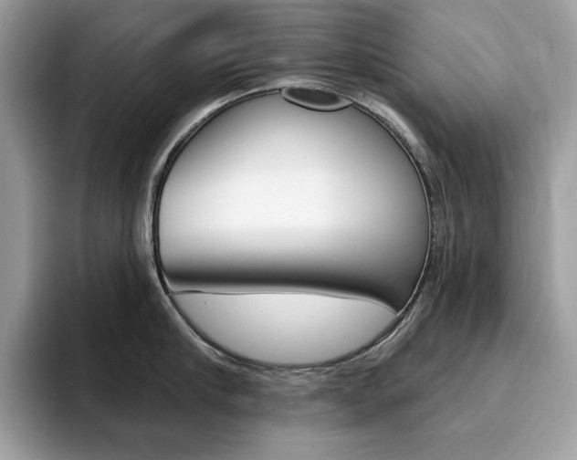X0000094940910200711291018