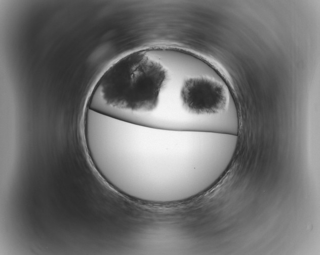 X0000094940911200711291018
