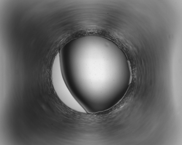 X0000094940916200711291018