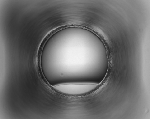 X0000094940924200711291018