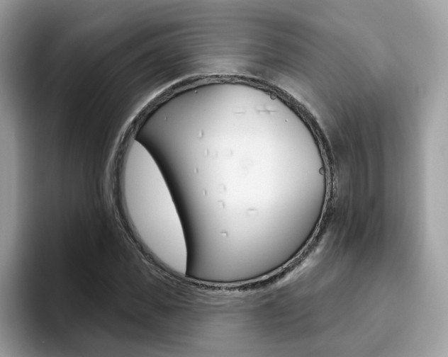 X0000094940925200711291018