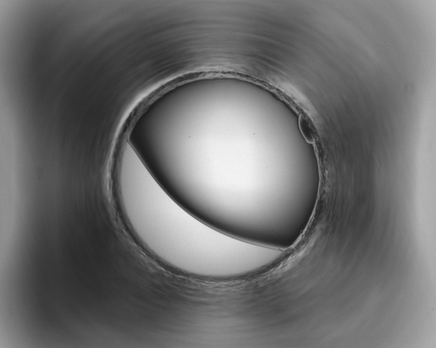 X0000094940928200711291018