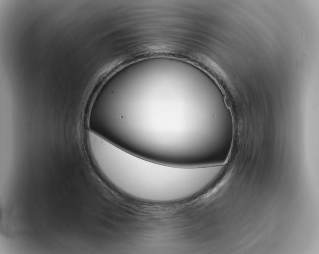 X0000094940930200711291018