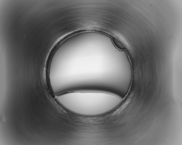 X0000094940932200711291018