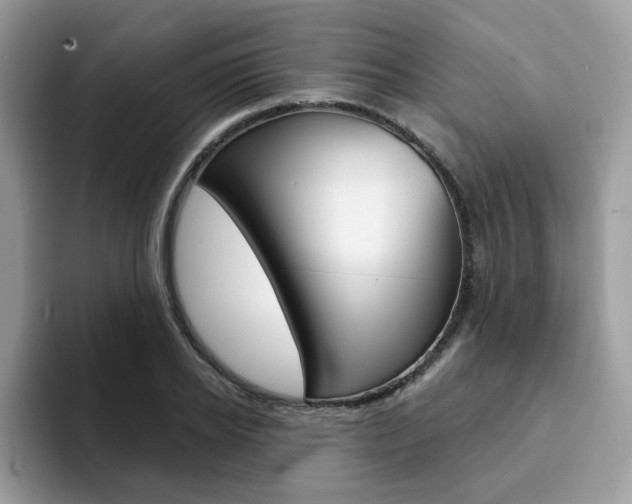 X0000094940934200711291018