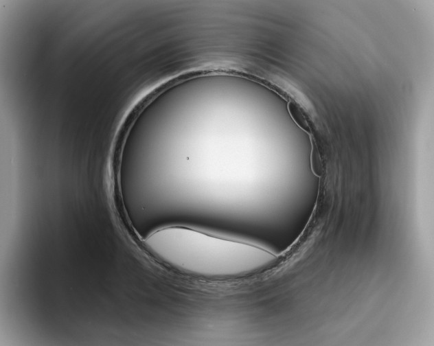 X0000094940936200711291018