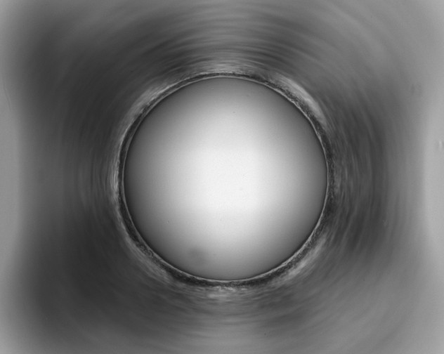 X0000094940938200711291018