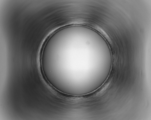 X0000094940939200711291018