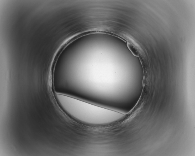 X0000094940940200711291018