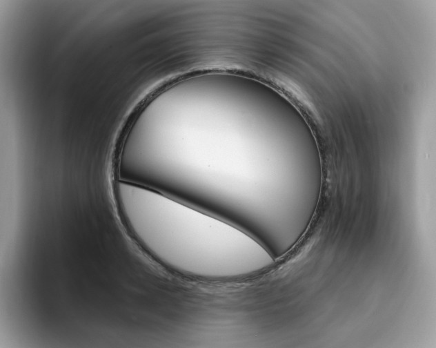 X0000094940942200711291018