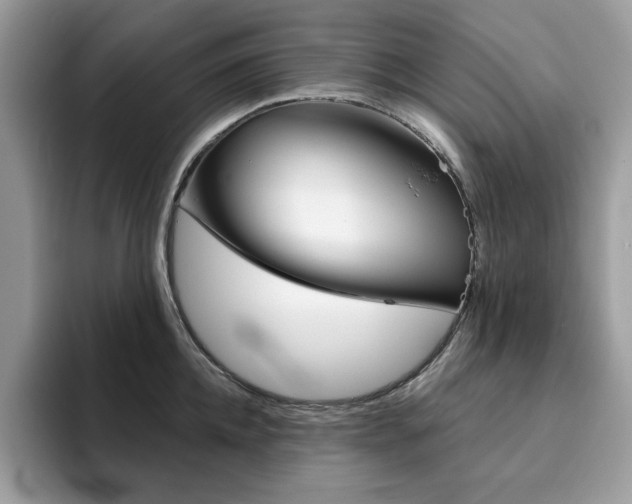 X0000094940952200711291018