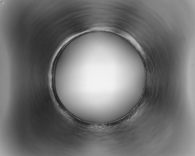 X0000094940955200711291018