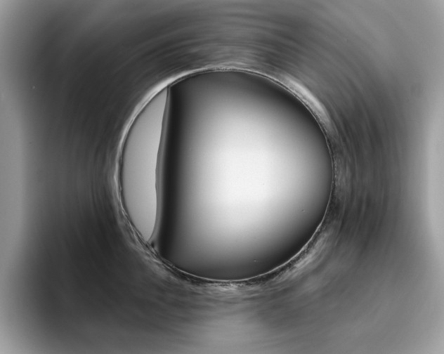 X0000094940956200711291018