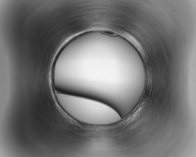 X0000094940958200711291018