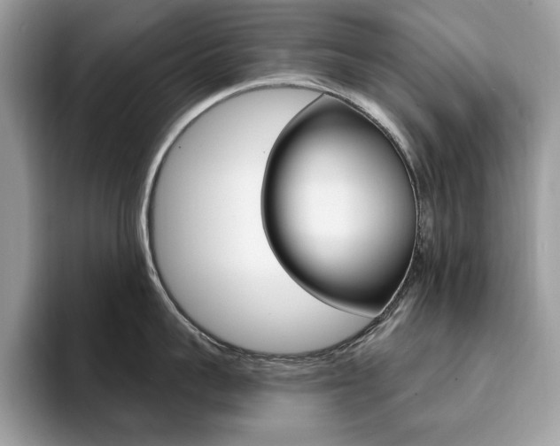 X0000094940959200711291018