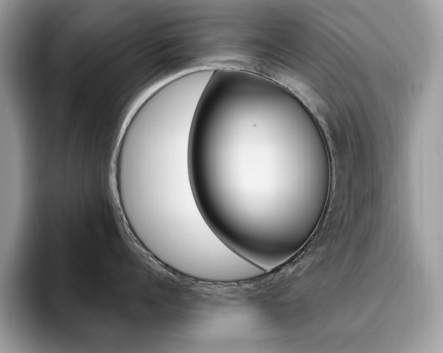 X0000094940960200711291018