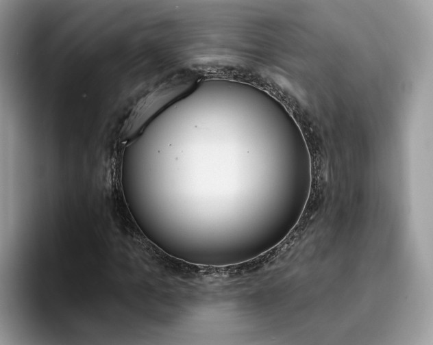 X0000094940965200711291018