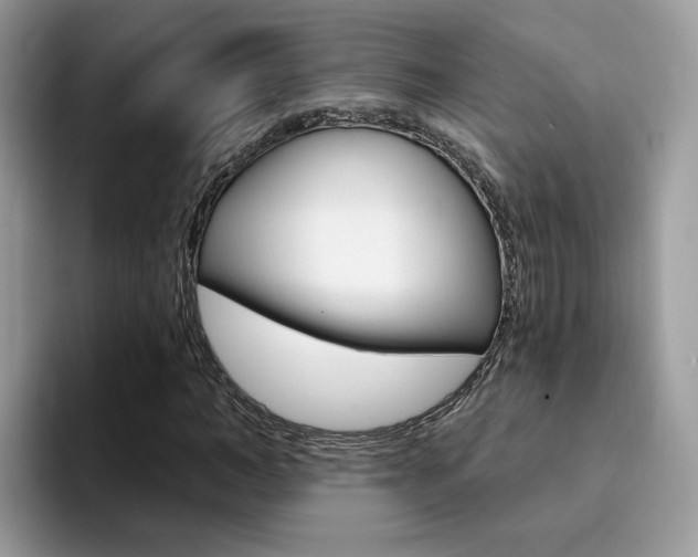 X0000094940966200711291018