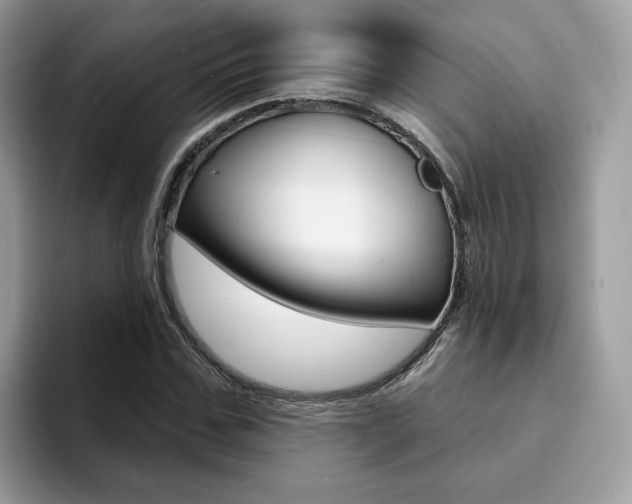 X0000094940971200711291018