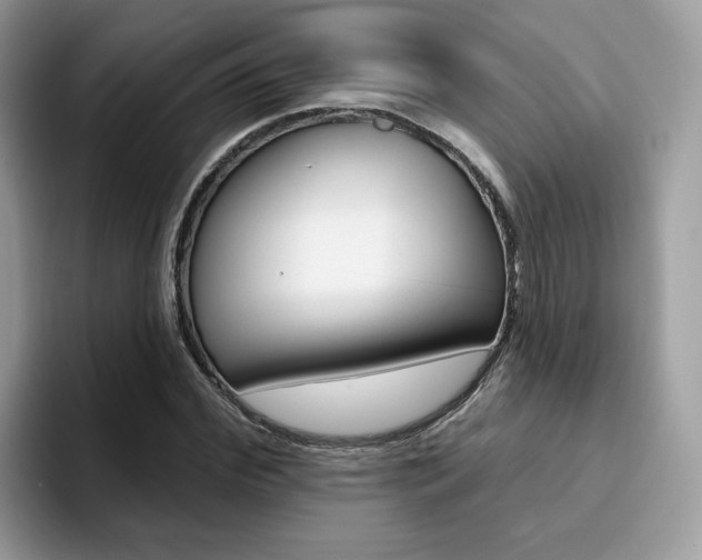 X0000094940972200711291018