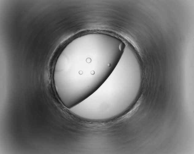 X0000094940974200711291018
