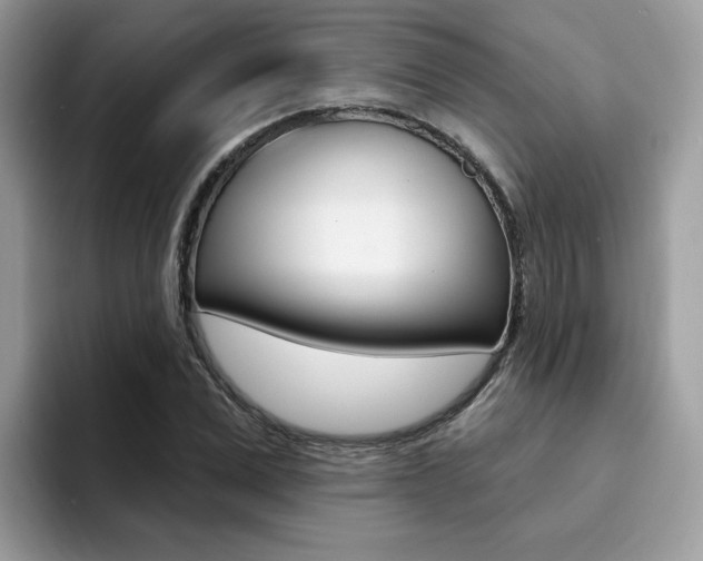 X0000094940975200711291018