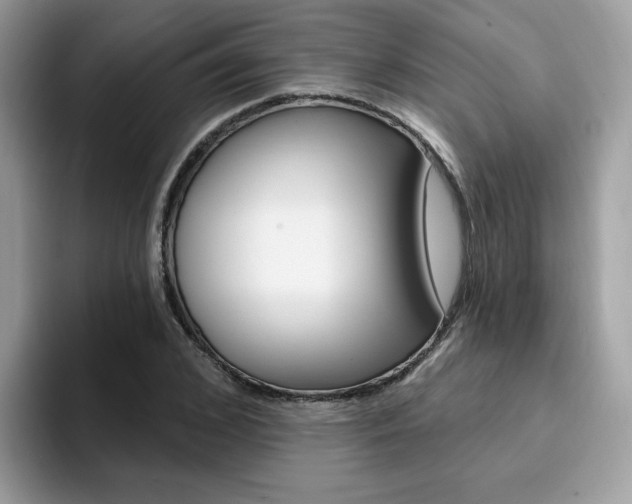 X0000094940976200711291018
