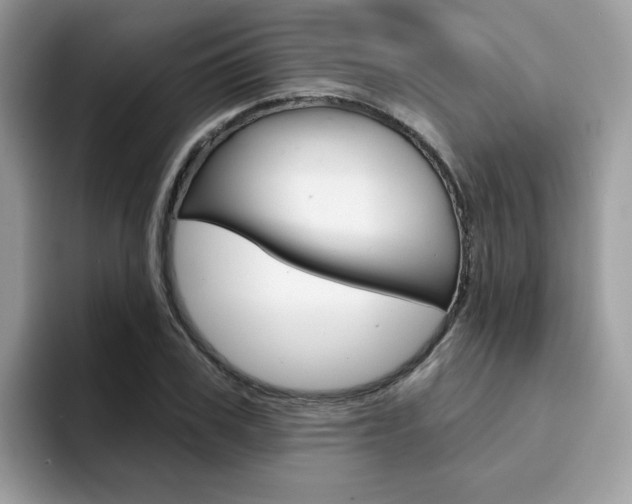 X0000094940979200711291018