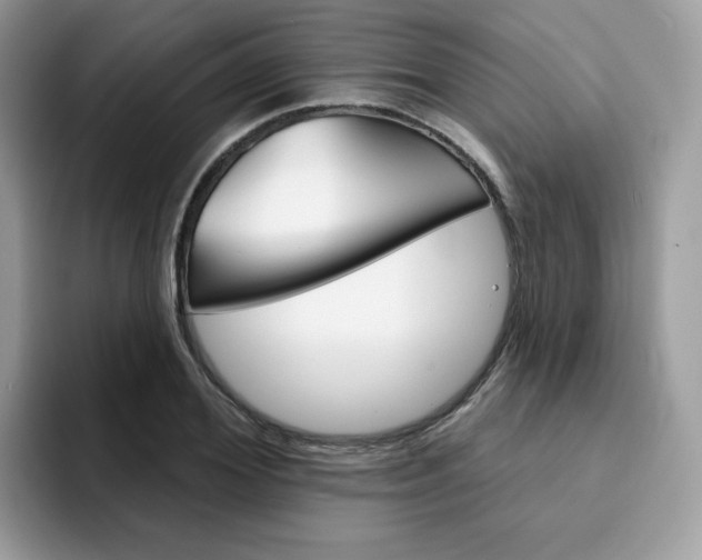X0000094940980200711291018
